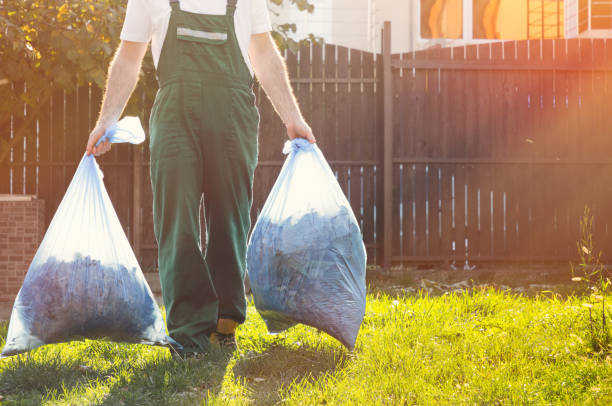 Best Carpet Removal and Disposal  in Sterling Heights, MI